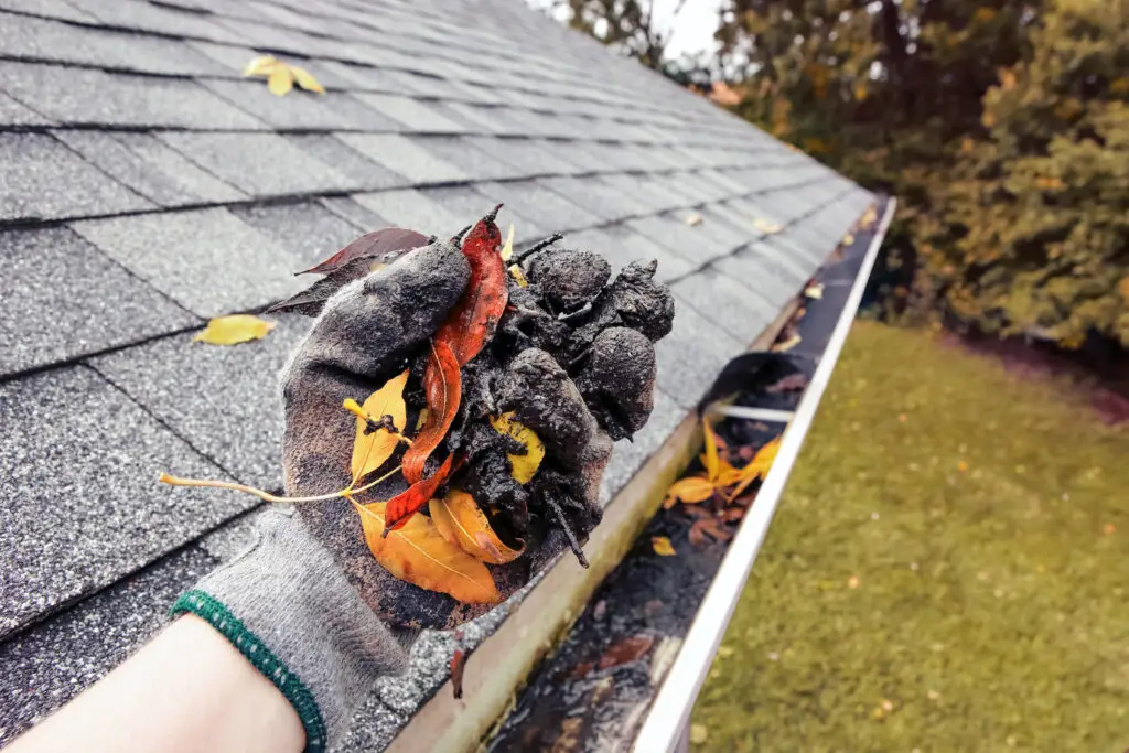 Elite Gutters cleans and repairs damaged gutters.